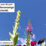 Eine Stellenanzeige geschenkt! Eine Stellenanzeige geschenkt 2Bild
