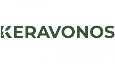 Consultant Digitalisierung und KI Keravonos